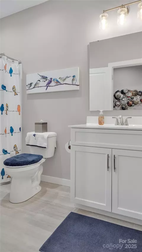Bath - 1508 28th Street Se Ln SE, Hickory, NC 28602 photo 4 of 6