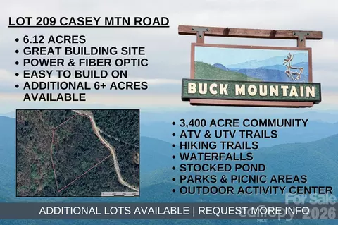 Casey Mountain 209 Road #209, Purlear, NC 28665