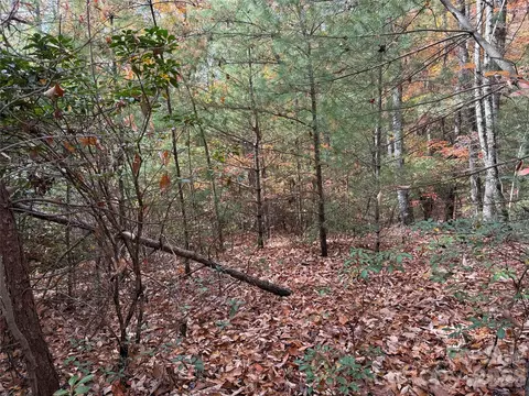 Casey Mountain 209 Road #209, Purlear, NC 28665 photo 8
