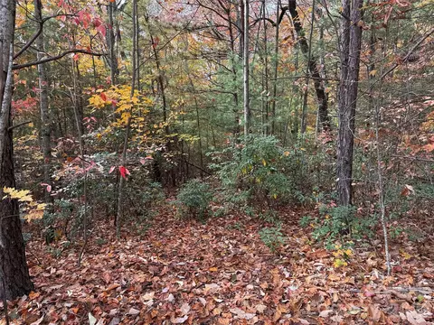 Casey Mountain 209 Road #209, Purlear, NC 28665 photo 7