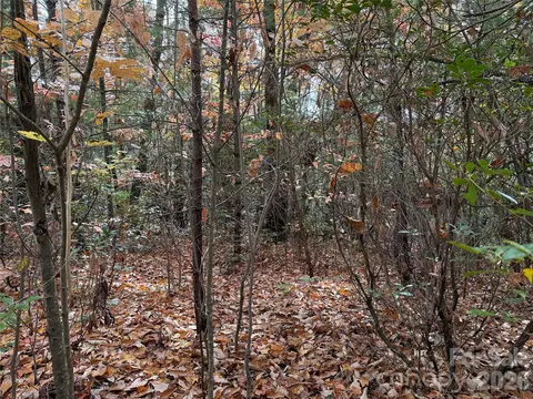 Casey Mountain 209 Road #209, Purlear, NC 28665 photo 3