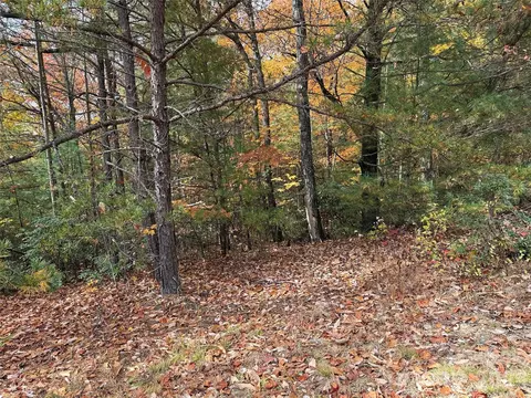 Casey Mountain 209 Road #209, Purlear, NC 28665 photo 6