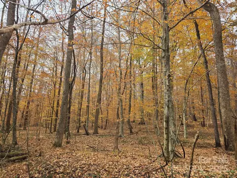 Montford Road, Pfafftown, NC 27040