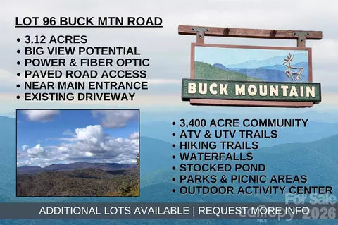 96 Buck Mountain Road #96, Purlear, NC 28665