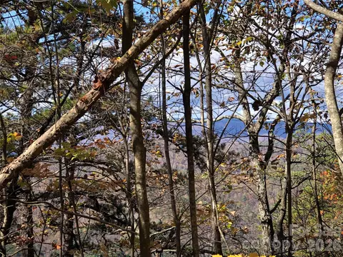 96 Buck Mountain Road #96, Purlear, NC 28665 photo 14