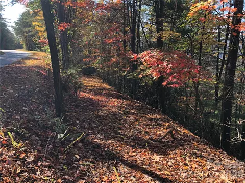 96 Buck Mountain Road #96, Purlear, NC 28665 photo 9
