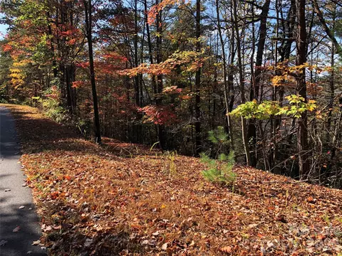96 Buck Mountain Road #96, Purlear, NC 28665 photo 8