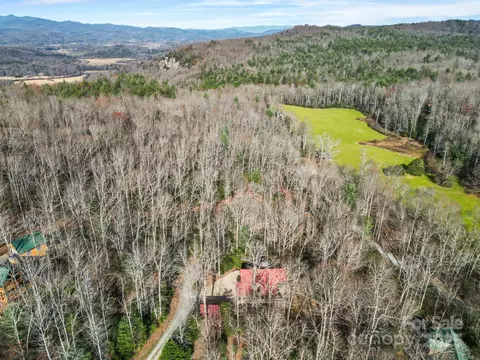 46 Bobcat Trl, Brevard, NC 28712 photo 45