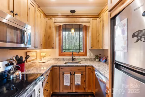 46 Bobcat Trl, Brevard, NC 28712 photo 12