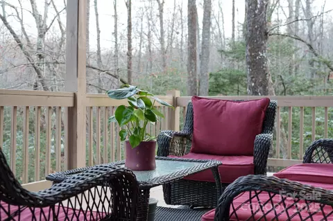 46 Bobcat Trl, Brevard, NC 28712 photo 22