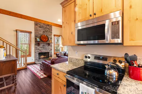 46 Bobcat Trl, Brevard, NC 28712 photo 13