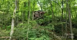 Other - 1612 Fall Creek Rd, Purlear, NC 28665 photo 7 of 30