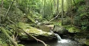 Other - 1612 Fall Creek Rd, Purlear, NC 28665 photo 13 of 30