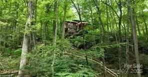 Other - 1612 Fall Creek Rd, Purlear, NC 28665 photo 19 of 30