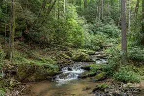 Other - 1612 Fall Creek Rd, Purlear, NC 28665 photo 3 of 30