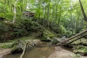 Other - 1612 Fall Creek Rd, Purlear, NC 28665 photo 2 of 30