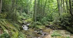 Other - 1612 Fall Creek Rd, Purlear, NC 28665 photo 17 of 30