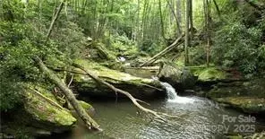 Other - 1612 Fall Creek Rd, Purlear, NC 28665 photo 15 of 30