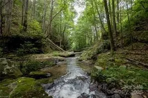Other - 1612 Fall Creek Rd, Purlear, NC 28665 photo 1 of 30