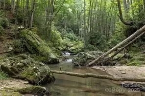 Other - 1612 Fall Creek Rd, Purlear, NC 28665 photo 10 of 30