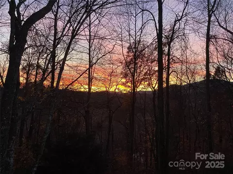 89 Bobcat Path, Marion, NC 28752 photo 47