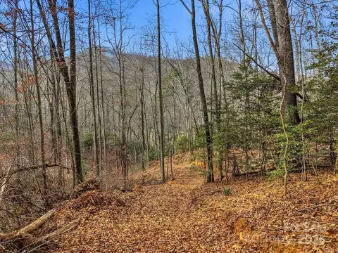 00 Barkers Creek Rd, Whittier, NC 28789