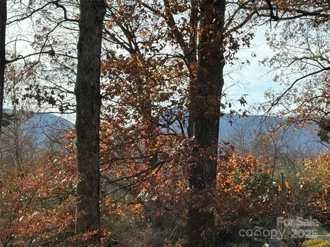 Other - 114 Broadway Ave, Tryon, NC 28782 photo 1 of 11