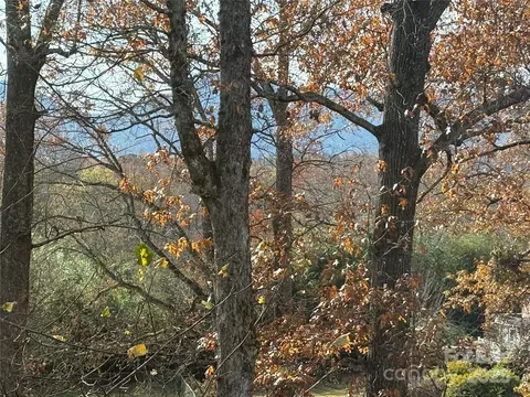 Other - 114 Broadway Ave, Tryon, NC 28782 photo 5 of 11