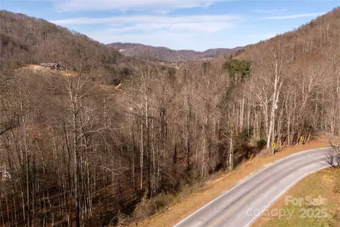 00 Terrys Gap Rd, Fletcher, NC 28732 photo 3