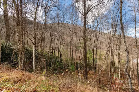 00 Terrys Gap Rd, Fletcher, NC 28732 photo 8