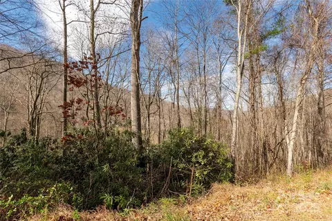 00 Terrys Gap Rd, Fletcher, NC 28732 photo 9