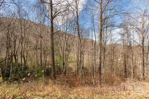 00 Terrys Gap Rd, Fletcher, NC 28732 photo 10