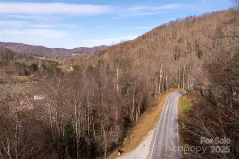 00 Terrys Gap Rd, Fletcher, NC 28732 photo 2