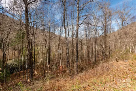 00 Terrys Gap Rd, Fletcher, NC 28732 photo 11