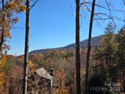 295 S Feather Falls 50 Trl #50, Black Mountain, NC 28711