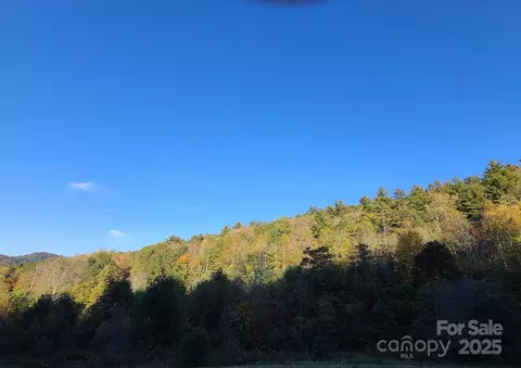 Rabbit Skin Road, Waynesville, NC 28785