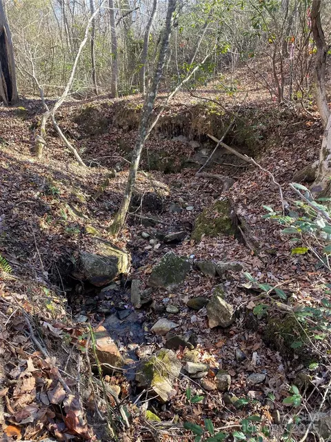 00 Kiser Lot 1 Rd #LOT 1, Bostic, NC 28018 photo 10