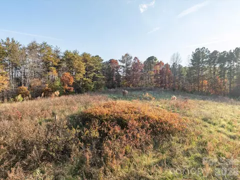 1888 Pea Ridge Rd, Mill Spring, NC 28756 photo 8