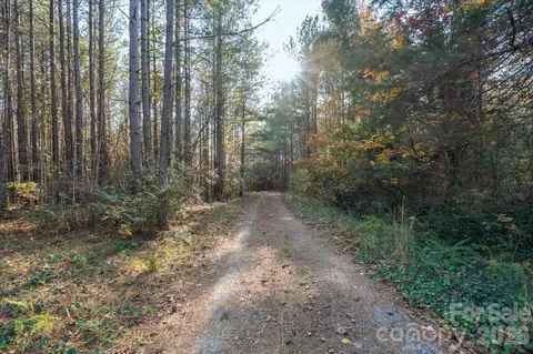 1888 Pea Ridge Rd, Mill Spring, NC 28756 photo 16