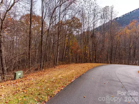 Harm Creek Loop, Mill Spring, NC 28756 photo 7