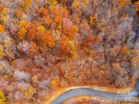 Harm Creek Loop, Mill Spring, NC 28756 photo 2