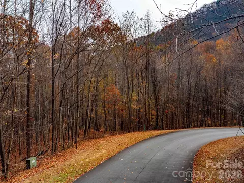Harm Creek Loop, Mill Spring, NC 28756