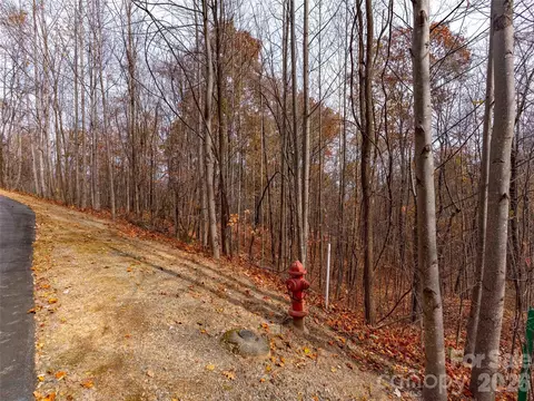 Harm Creek Loop, Mill Spring, NC 28756 photo 9