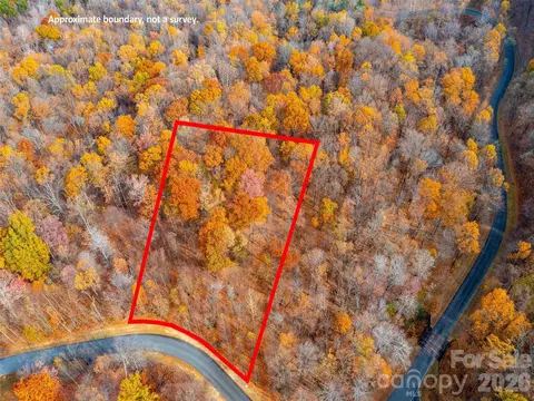 Harm Creek Loop, Mill Spring, NC 28756 photo 4