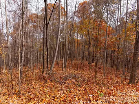Harm Creek Loop, Mill Spring, NC 28756 photo 8