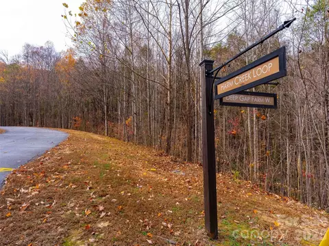 Harm Creek Loop, Mill Spring, NC 28756 photo 11