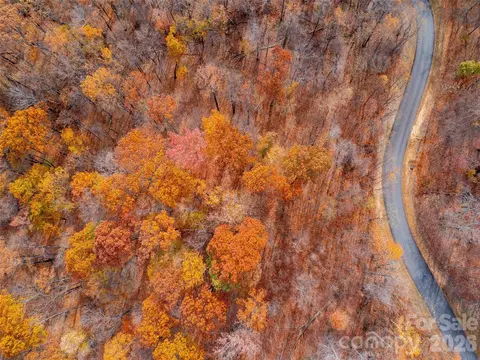 Harm Creek Loop, Mill Spring, NC 28756 photo 3