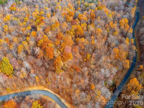 Harm Creek Loop, Mill Spring, NC 28756 photo 5