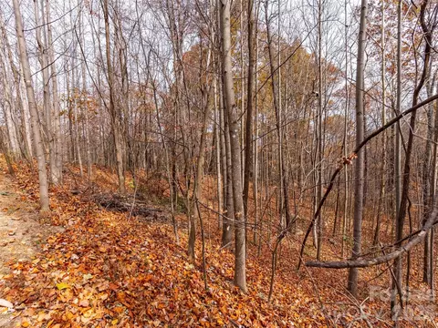Harm Creek Loop, Mill Spring, NC 28756 photo 10