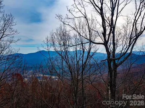 Haddington Drive, Mill Spring, NC 28756 photo 9
